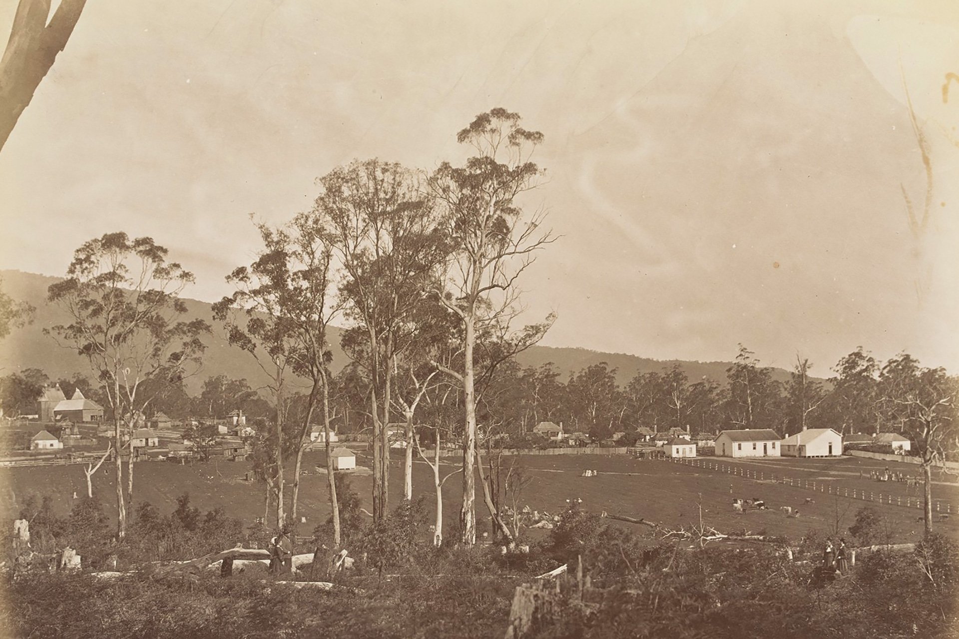 History Council Victoria Feb26 FL16344309 Peoples homes Aboriginal station Coranderrk c1878
